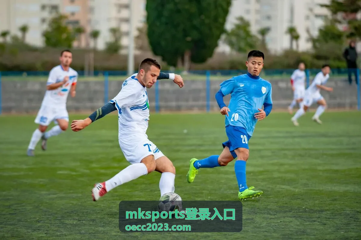 接收 mksports登录入口 验证码的示意画面