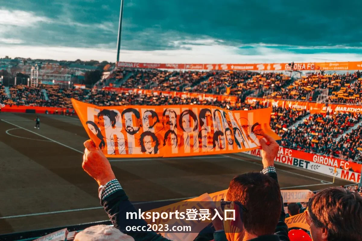mksports登录入口账号验证与常见问题页面的核对流程配图